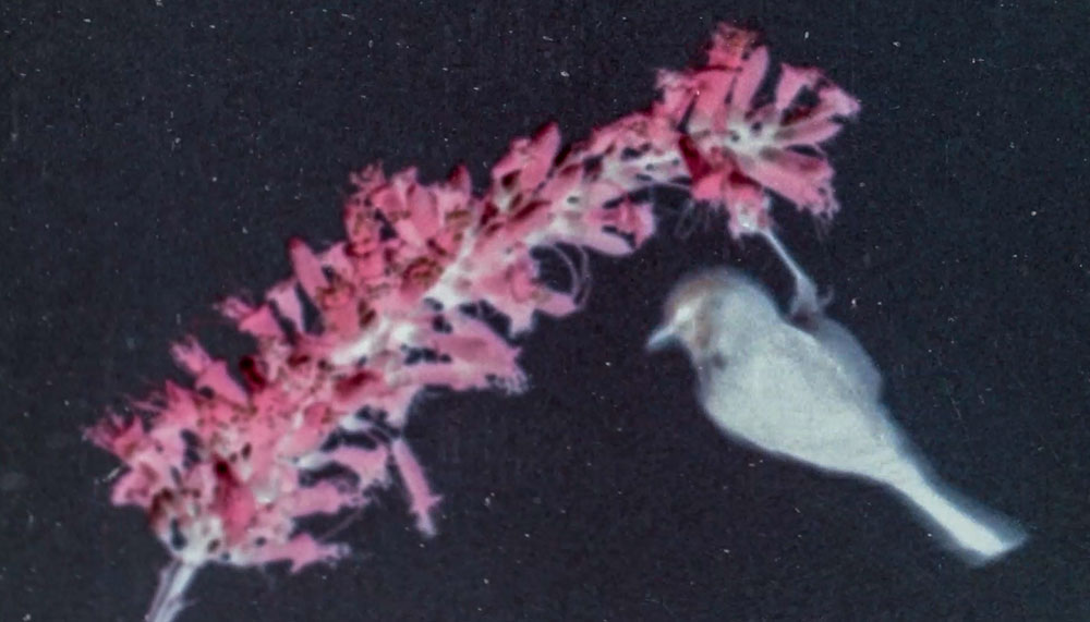 Slide 7